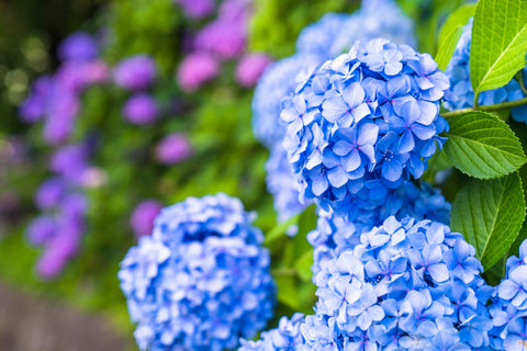 6月4日(金)臨時休業のお知らせ