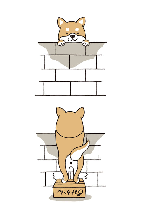 T-shirt design featuring a Shiba Inu peeking over a brick wall. The top image shows the dog's smiling face, while the bottom reveals it standing on a wooden box to reach the wall, with its tail wagging happily.